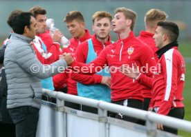 VfB Stuttgart Training
