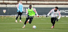 17.11.25 VfB Stuttgart Training