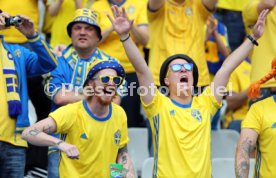 UEFA Frankreich Euro 2016 Irland - Schweden