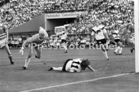 14.06.88 Deutschland - D&auml;nemark