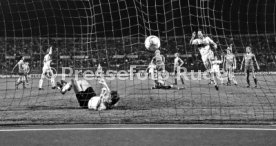 VfB Stuttgart - 1. FC K&ouml;ln