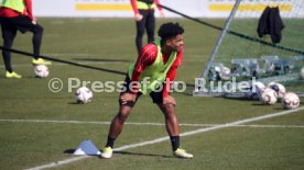 VfB Stuttgart Training