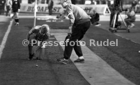 05.10.88 FC Tatabanya - VfB Stuttgart
