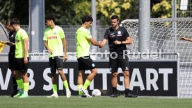 24.08.24 U19 VfB Stuttgart - U19 Stuttgarter Kickers