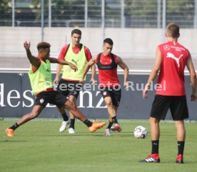 VfB Stuttgart Training