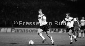 16.10.1991 Deutschland - Wales