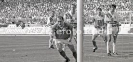 05.06.1993 VfB Stuttgart - SV Werder Bremen