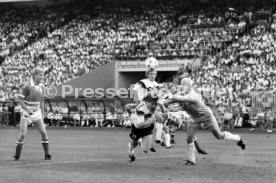 14.06.88 Deutschland - D&auml;nemark