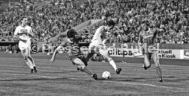 VfB Stuttgart - 1. FC K&ouml;ln