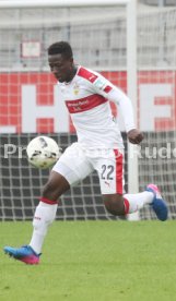 Testspiel FC Ingolstadt 04-VFB Stuttgart