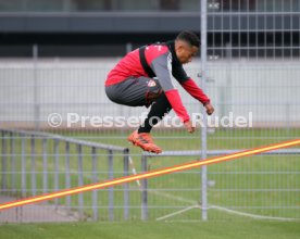 VfB Stuttgart Training