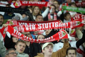 22.09.23 VfB Stuttgart - SV Darmstadt 98