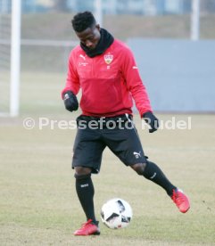 VfB Stuttgart Training