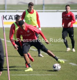 VfB Stuttgart Training