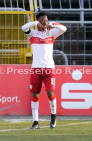 FC Erzgebirge Aue - VfB Stuttgart