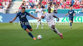 20.09.25 TSG 1899 Hoffenheim - FC Bayern M&uuml;nchen