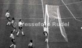 WM 1990 Argentinien - Kamerun