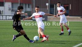 08.03.26 U19 VfB Stuttgart - U19 1. FC K&ouml;ln
