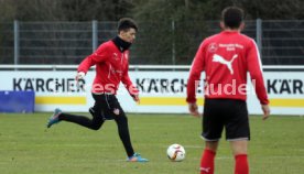 VfB Stuttgart Training
