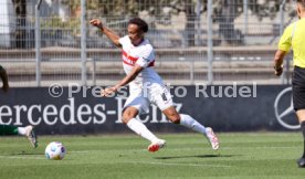08.09.23 VfB Stuttgart - FC St. Gallen