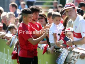 VfB Stuttgart Training