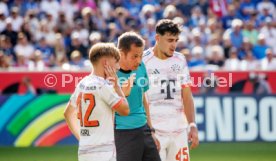 20.09.25 TSG 1899 Hoffenheim - FC Bayern M&uuml;nchen