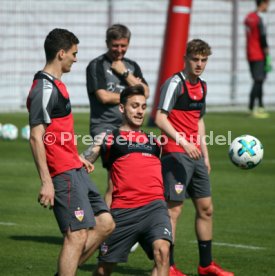 VfB Stuttgart Training