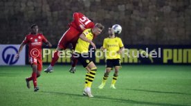 Borussia Dortmund - 1. FSV Mainz 05
