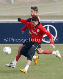Ciprian Marica