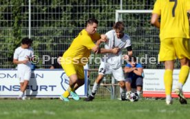 23.08.26 TSV Ph&ouml;nix Steinsfurt - SV Tiefenbach