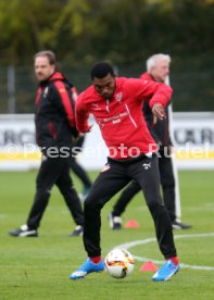 VfB Stuttgart Training