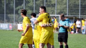 23.08.26 TSV Ph&ouml;nix Steinsfurt - SV Tiefenbach