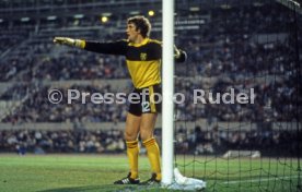 EM 1980 Deutschland - Belgien
