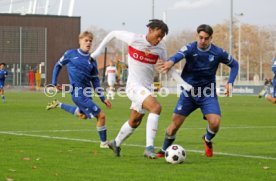 25.11.23 U19 VfB Stuttgart - U19 TSG 1899 Hoffenheim