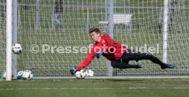VfB Stuttgart Training