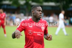 FC Z&uuml;rich - VfB Stuttgart