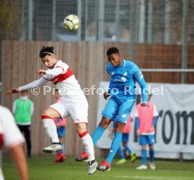 U17 VfB Stuttgart - U17 TSG 1899 Hoffenheim