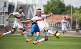 U19 VfB Stuttgart - U17 TSG 1899 Hoffenheim