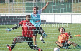 vfb_training