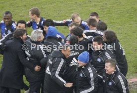 VFB-HSV 1:3
