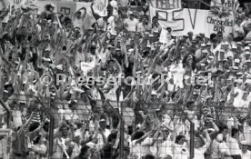 25.05.88 PSV Eindhoven - Benfica Lissabon