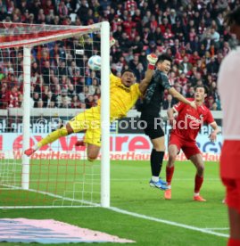25.01.25 SC Freiburg - FC Bayern M&uuml;nchen