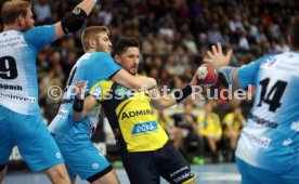 TVB Stuttgart - Rhein-Neckar L&ouml;wen